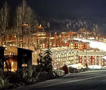 Nedre Ängsvägen, Järbo - Photo 4