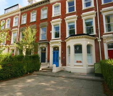 Apt 2, 16 College Gardens, Belfast, BT9 6BQ - Photo 5