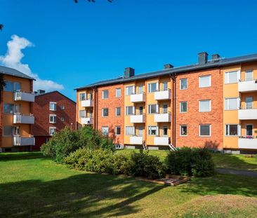 Örnäset, Luleå, Norrbotten - Photo 1