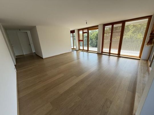 4.5 Zimmer, 120 m² - Foto 1