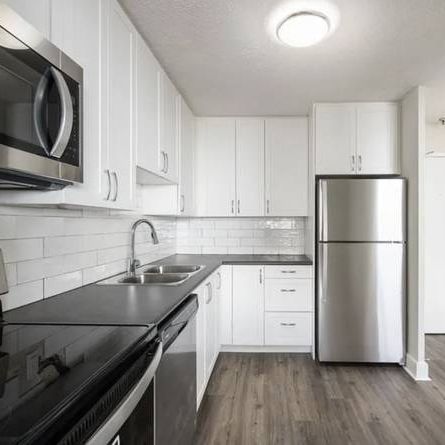 Pet-Friendly Suites with Open-Concept Kitchens (Albert St) - Photo 1