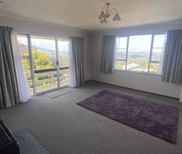 Sunny on Strode - Photo 1