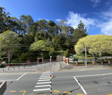 Welcome to apartment 305 in Sharella Living Thorndon - Photo 6