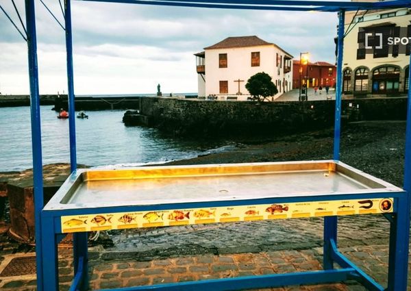 santa_cruz_de_tenerife, Canary Islands 38400