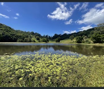 77 Cobaki Road, Cobaki, NSW 2486 - Photo 4