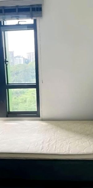 Blk 115C Alkaff Lakeview (Toa Payoh), HDB 3 Rooms - For Rent - Photo 1