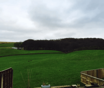 Newchurch Road - Photo 6
