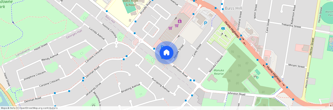 46A Johnston Road, Bass Hill 2197, New South Wales