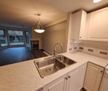 Spacious NEWLY Renovated 1 Bedroom with Private Terrace - Photo 4