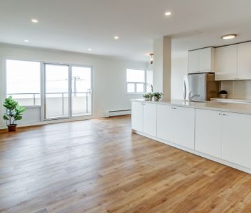 1-Bedroom - Photo 4