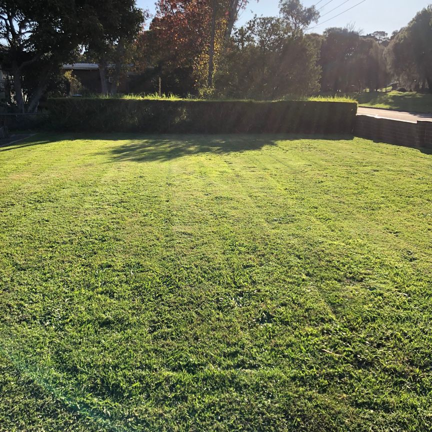 Mornington - Photo 2