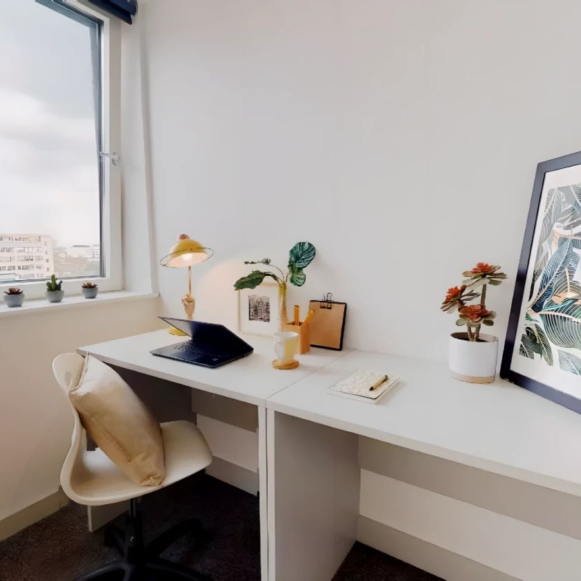 Silver Studio Plus - Photo 1