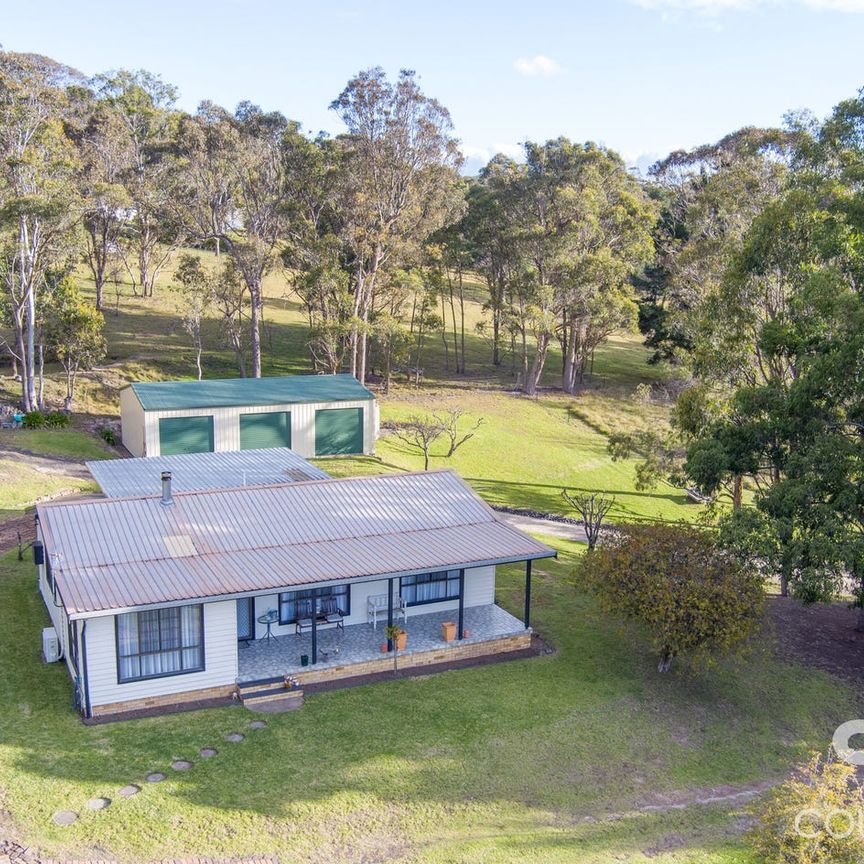 Your Dream Rural Rental Retreat Awaits - Photo 1