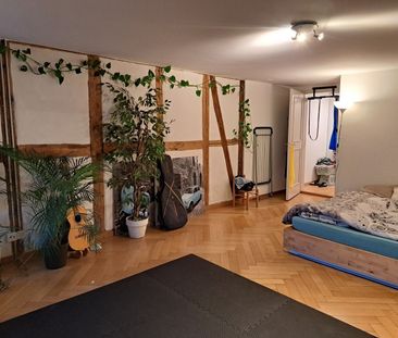 2-ROOM APARTMENT IN BERN - OLD CITY, FURNISHED, TEMPORARY - Foto 5