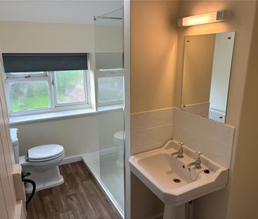 Old School House, Didley - Photo 6