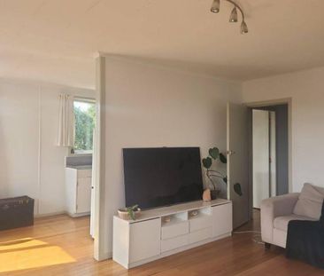 Experience comfortable living in Putaruru's ... - Photo 3