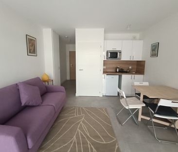 Appartement RUE ANDRIEUX - Photo 6