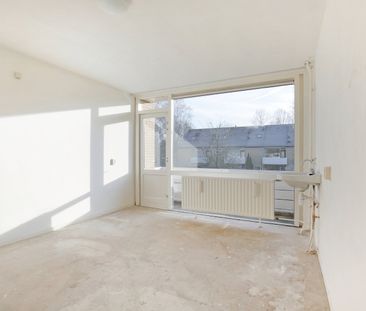 Te huur: Treiler 21 - Foto 4