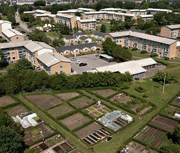 Ellekonebakken, 79, st. 4, 8800, Viborg - Foto 5