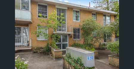 Light filled apartment amongst the trees - Photo 5