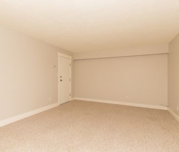 5750 Malvern Avenue, Burnaby (1 Bedroom Basement Suite) - Photo 3