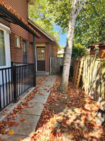 For Lease - 23 Hartsville Avenue Unit# Basement, Toronto, Ontario - Photo 4