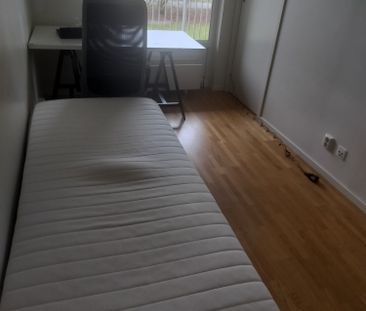 Stiftsvägen, Lund - Photo 4