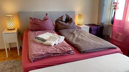 2 Zimmer-Wohnung in Basel - Gellert/St. Alban, möbliert, auf Zeit - Photo 3