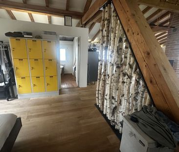 LOFT IN OBERWIL B. ZUG (ZG), FURNISHED, TEMPORARY - Foto 2