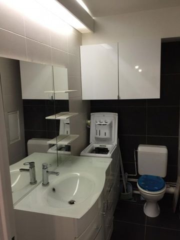 Appartement 1 Pièce 26 m² - Photo 5