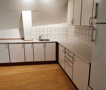Stor delevenlig lejlighed i centrum - Photo 1