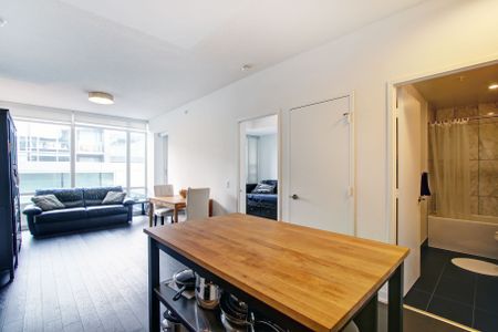 For Lease - 455 Front Street Unit# N307, Toronto, Ontario - Photo 2