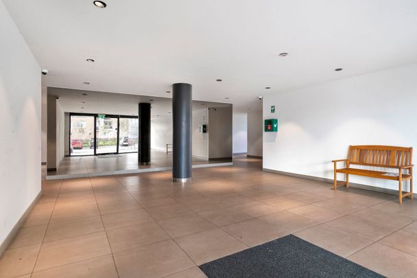 Hermelijnvlinder 95, Vlindertuin, 1113LC, Diemen - Photo 1