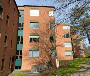 Living on the beautiful Gold Coast (temporarily until 31.08.2026) - Foto 5