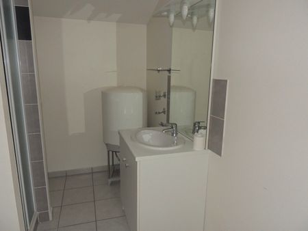 Location Appartement 1 pièce 31m² ROMANS SUR ISERE 26100 - Photo 3