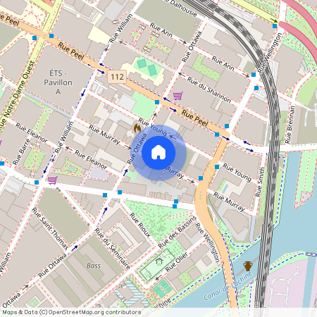 215 Rue Murray, app. 1003, Montréal (Le Sud-Ouest), H3C1A2
