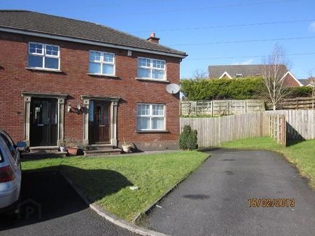 41 Ballylenaghan Heights, Belfast, BT8 6WH - Photo 2