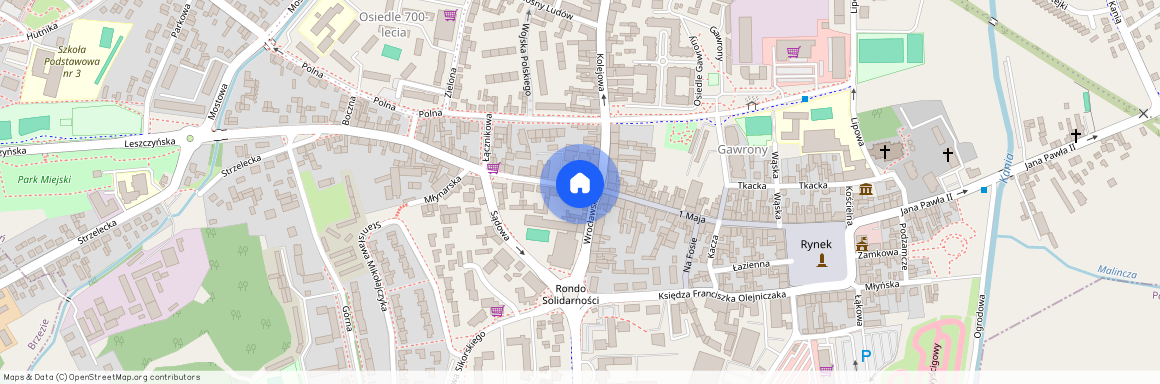 Powstańców wielkopolskich 1/2, Gostyń, Gostyń, gostyński, wielkopolskie