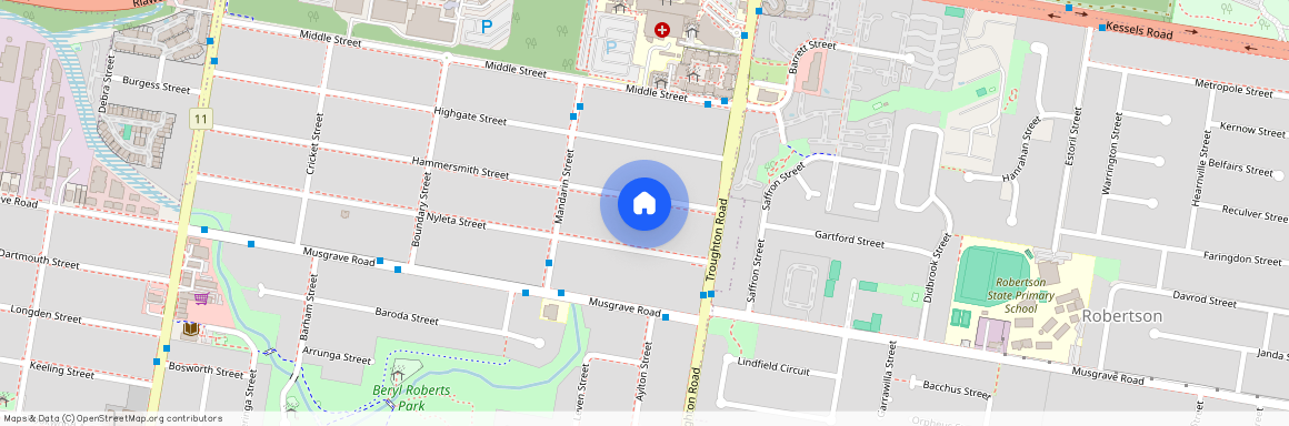 169 Hammersmith Street, Qld 4108, Coopers Plains