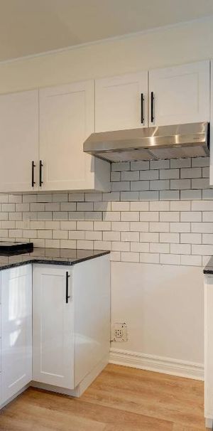 Grand 4 1/2 rénové à Mirabel - Libre maintenant - Internet inclus - Photo 1