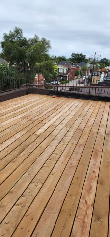 For Lease - 987 Pape Avenue Unit# Upper 2, Toronto, Ontario - Photo 4