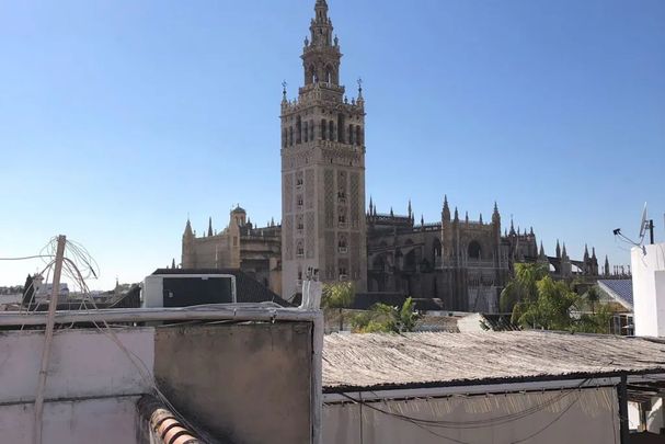 Calle Albareda, Sevilla, Andalusia 41001 - Photo 1