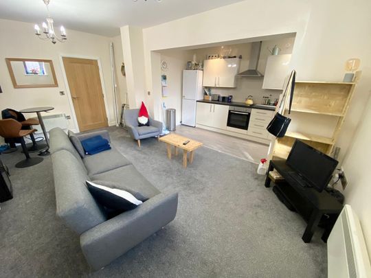 1 Bed Flat, Greystones Road, S11 - Photo 1