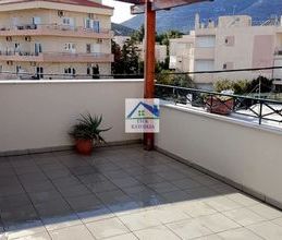 Μονοκατοικία για ενοικίαση - Παιανία, - Photo 5