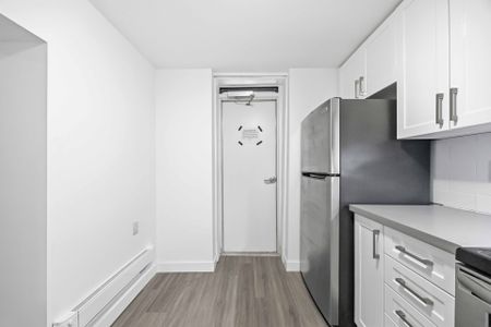 For Lease - 1A Leonard Avenue Unit# LOWER, Toronto, Ontario - Photo 4