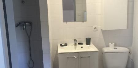 Location Appartement 1 pièce 21m² ST ETIENNE 42000 - Photo 2