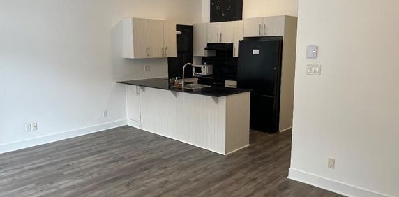 GRAND CONDO MODERNE 4 1/2 - STADE OLYMPIQUE / MÉTRO VIAU - Photo 2