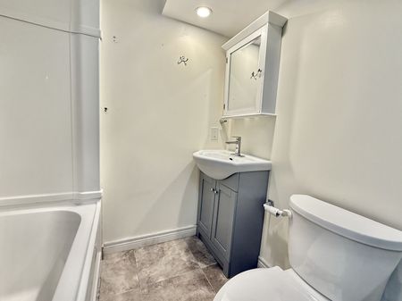 For Lease - 116 Cherrywood Drive Unit# BSMT 2, Newmarket, Ontario - Photo 3