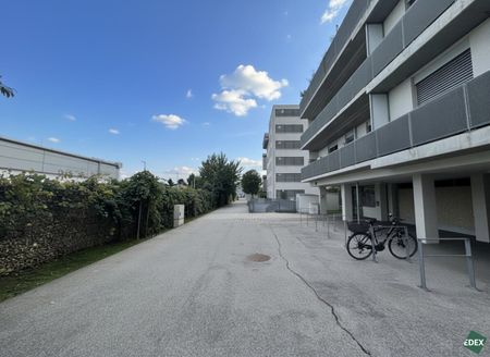 Charmante 2-Zimmer Wohnung mit guter Anbindung (Bus 29A) – neue Einbauküche! - Photo 5