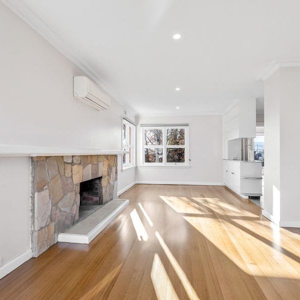 1950's cool in Newstead! - Photo 1